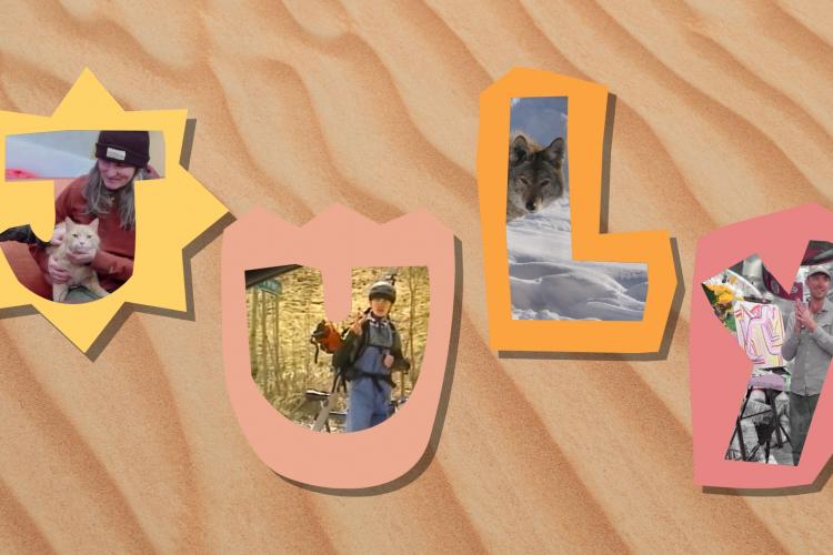 A collage spelling out July