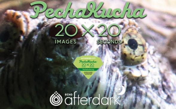 Pechakucha Night Burlington Vol. 19 logo featuring a turtle