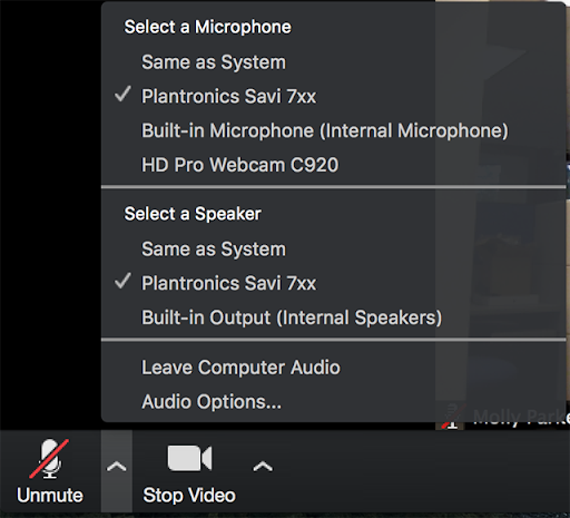Screenshot of Zoom menu