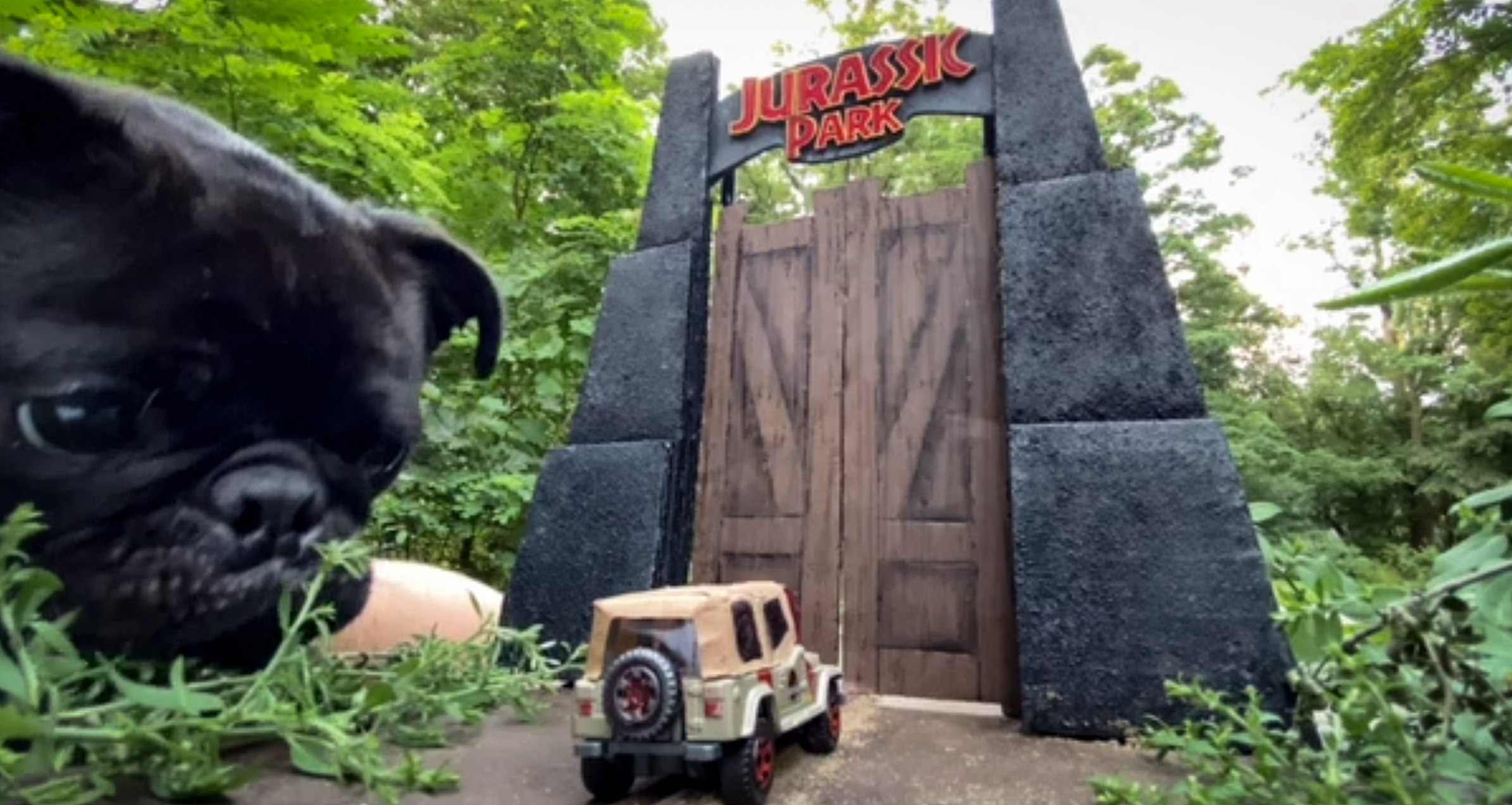 a black pug sniffs a small Jeep and a miniatur "Jurassic Park" sign.