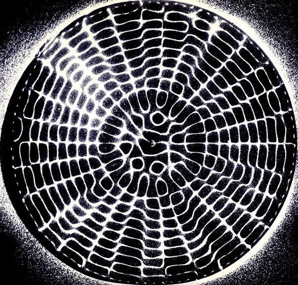 circle and web pattern in black and white