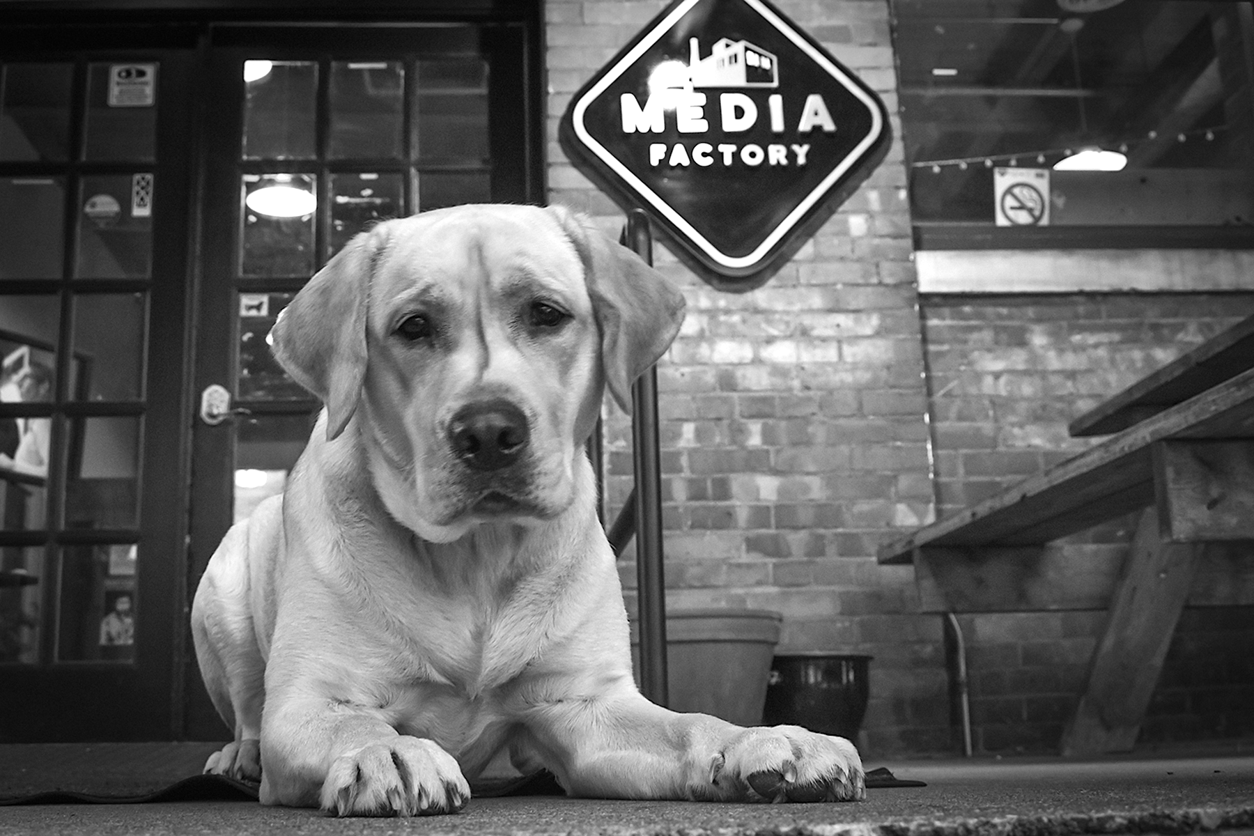 willow sits in front of media factory min entrance