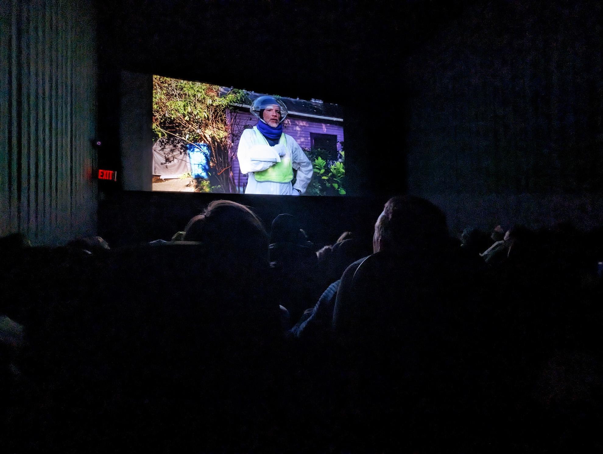 screening of Crowdsourced VT Toy Story at the Roxy