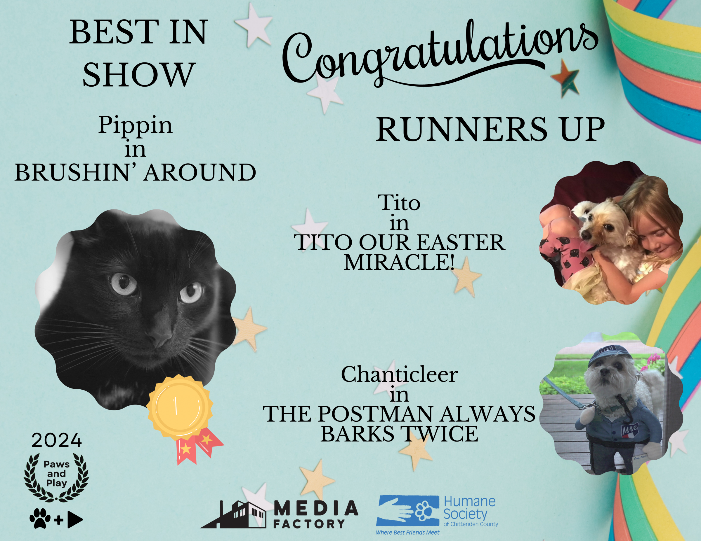 Images of Best in Show winner Pippin the cat and runners up Tito the dog and Chanticleer the dog